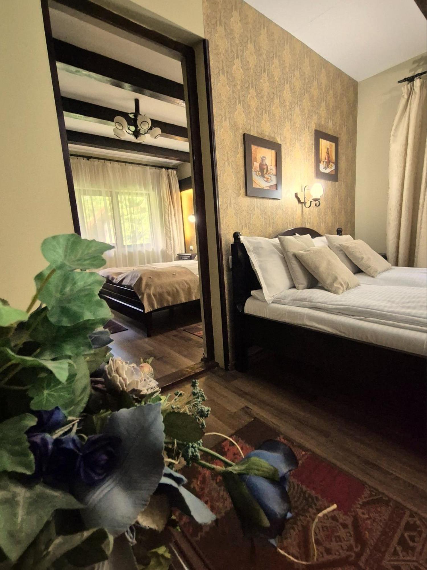 Pensiunea Dumbravita Hotel Riu de Mori Ngoại thất bức ảnh